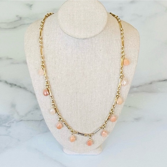 Banana Republic Long Gold Chain Faux Coral Necklace - Picture 4 of 4